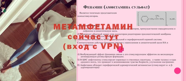 шишки Михайловск