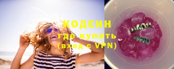 шишки Михайловск