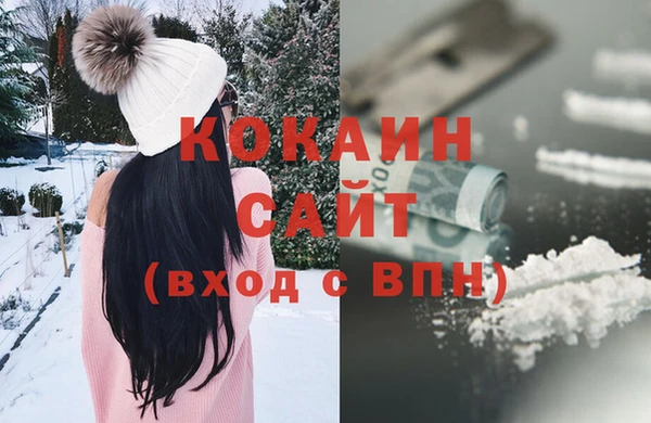 ПСИЛОЦИБИНОВЫЕ ГРИБЫ Абаза