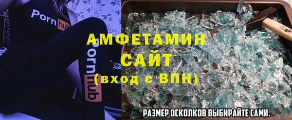шишки Михайловск