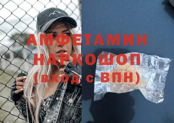 шишки Михайловск