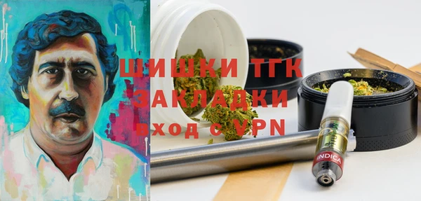 шишки Михайловск