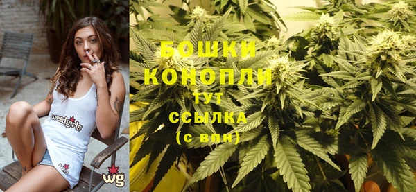 ПСИЛОЦИБИНОВЫЕ ГРИБЫ Абаза